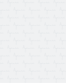 Купить AMAZON Summer mix#20 кг оптом в Чебоксарах и Чувашской Республике