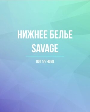 Купить Нижнее белье Savage#50 шт, ЛОТ №4038 оптом в Чебоксарах и Чувашской Республике