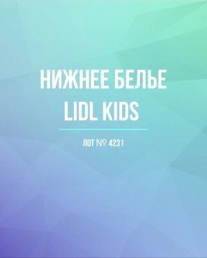 Купить Нижнее белье LIDL Kids#5 кг, ЛОТ №4231 оптом в Чебоксарах и Чувашской Республике
