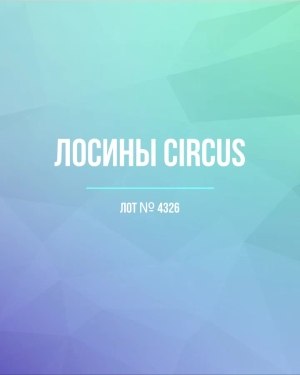 Купить Лосины CIRCUS #6,2 кг, ЛОТ №4326 оптом в Чебоксарах и Чувашской Республике