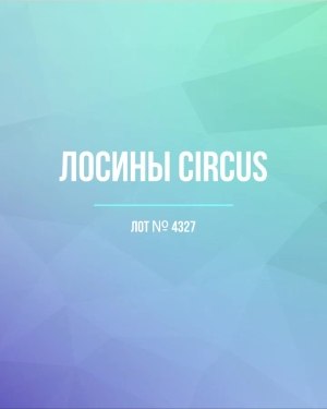 Купить Лосины CIRCUS #6,2 кг, ЛОТ №4327 оптом в Чебоксарах и Чувашской Республике