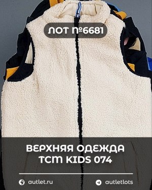 Купить Верхняя одежда TCM kids 074#7 кг, ЛОТ №6681 оптом в Чебоксарах и Чувашской Республике