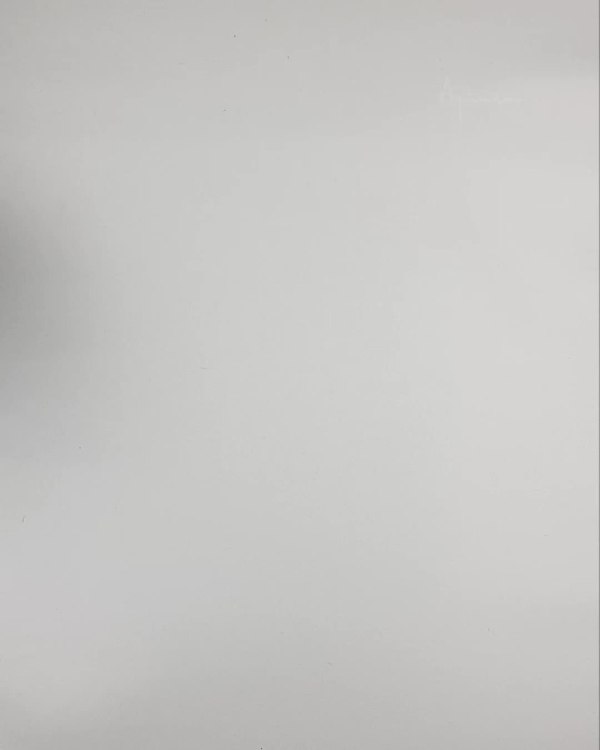 Фотография  333 - Верхняя одежда Дания#10,2 кг ЛОТ №6911 оптом в Чебоксарах и Чувашской Республике