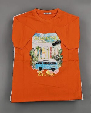 Купить Футболки мужские C-3141 (MEN T-shirt Sorbino) #4,8 кг оптом в Чебоксарах и Чувашской Республике