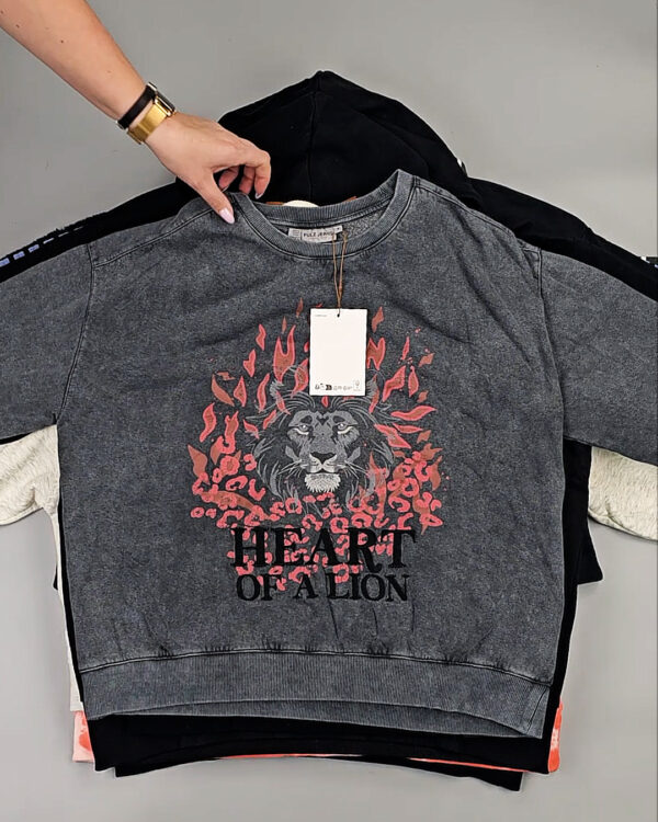 Фотография  635 - Толстовки Bestseller+DK 035#7 кг, ЛОТ СТ-9839 оптом в Чебоксарах и Чувашской Республике